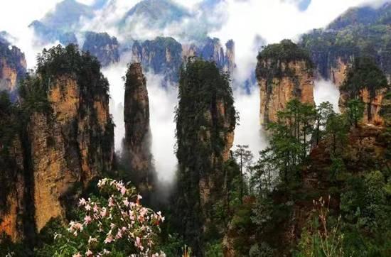 张家界新闻爆料热线,见证城市脉搏，倾听民声心声  第2张